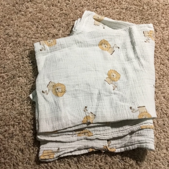 aden and anais muslin blanket